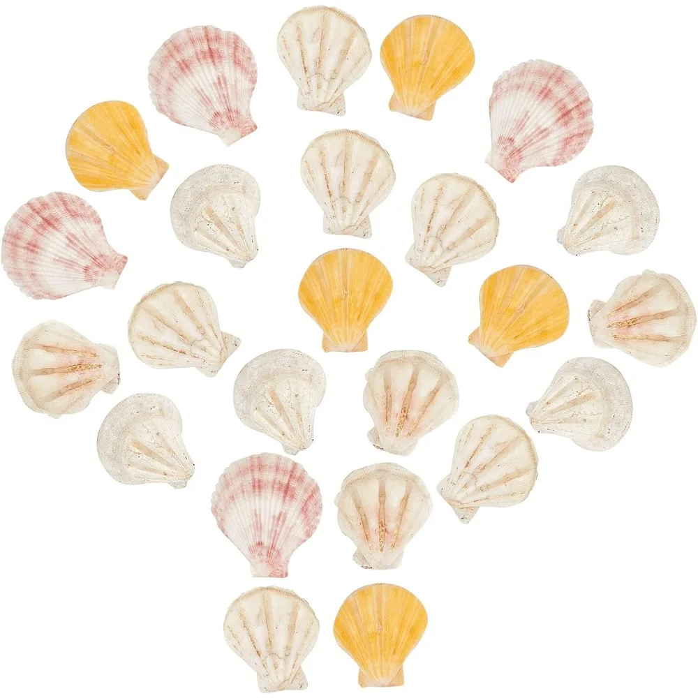 1 Box 120g Colorful Natural Scallop Beads Clam Seashells Ocean Beach Craft Charms Sea Shells Bulk Undrilled for Necklace