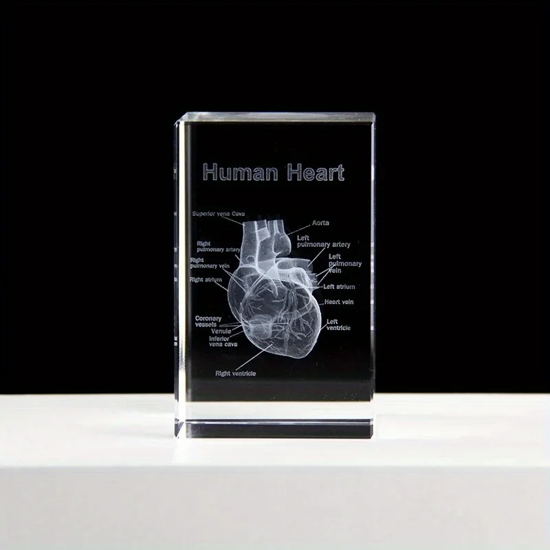 Crystal Heart Model Cube 3D Laser Engraved Anatomical Figurines Medical Science Souvenir Gifts Home Decoration Paperweight