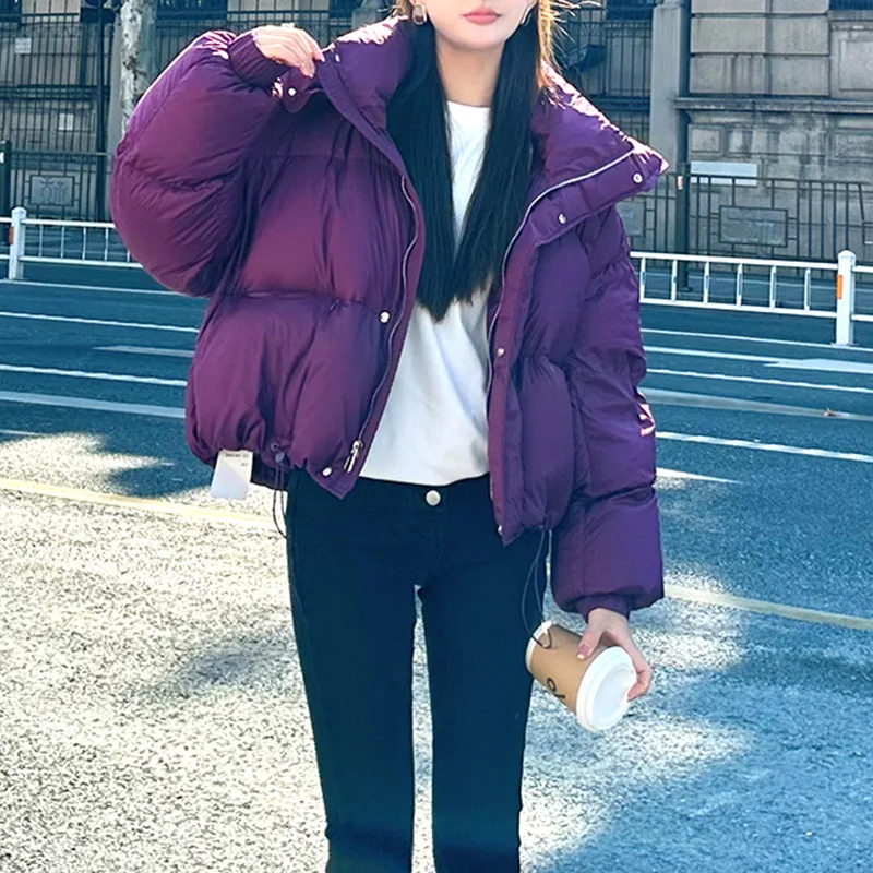 Women's Autumn Winter Tops Jacket Down Coat Duck Short Zipper Personalized Vintage Simple Comfortable Soft Niche New Versatile