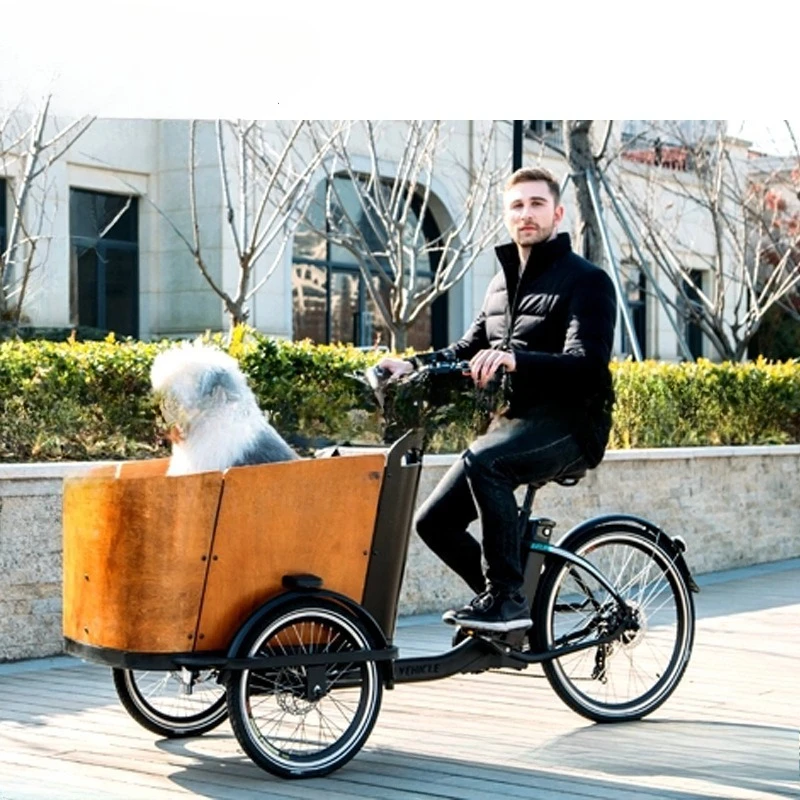 Three-wheeled children's cargo bike electric tricycle mother and child car