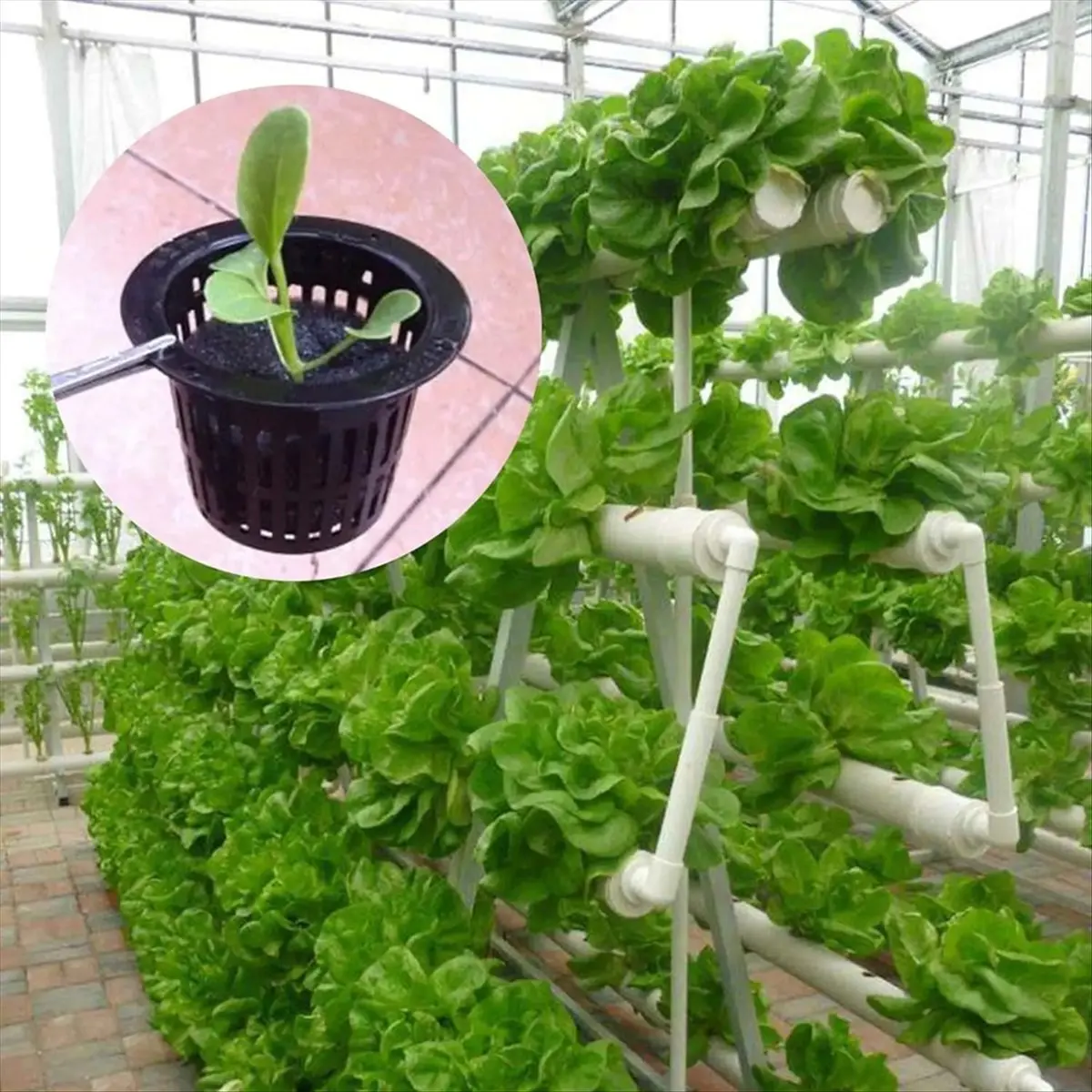 ABLG 100 шт. черная пластиковая крепежная корзина для садоводства, беспочвенная сетка с прорезями, чашки для растений, горшки, ведра, корзины для гидропоники