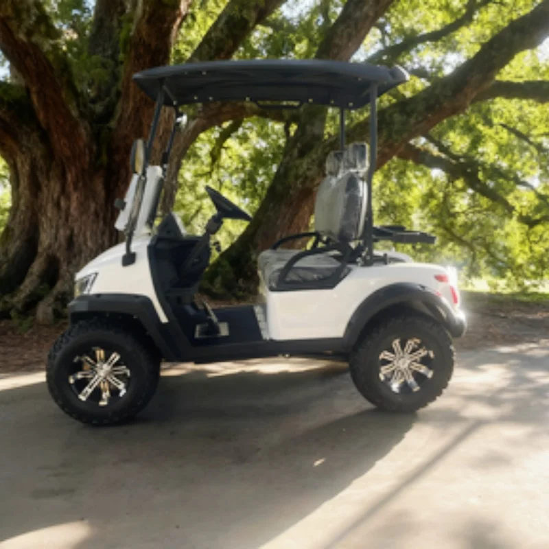 Electric Golf Cart 2 Seater Electric Scooter 72V Utility Vehicle Off-Road Cart Factory Direct With 14-Inch Off-Road Tires Sale