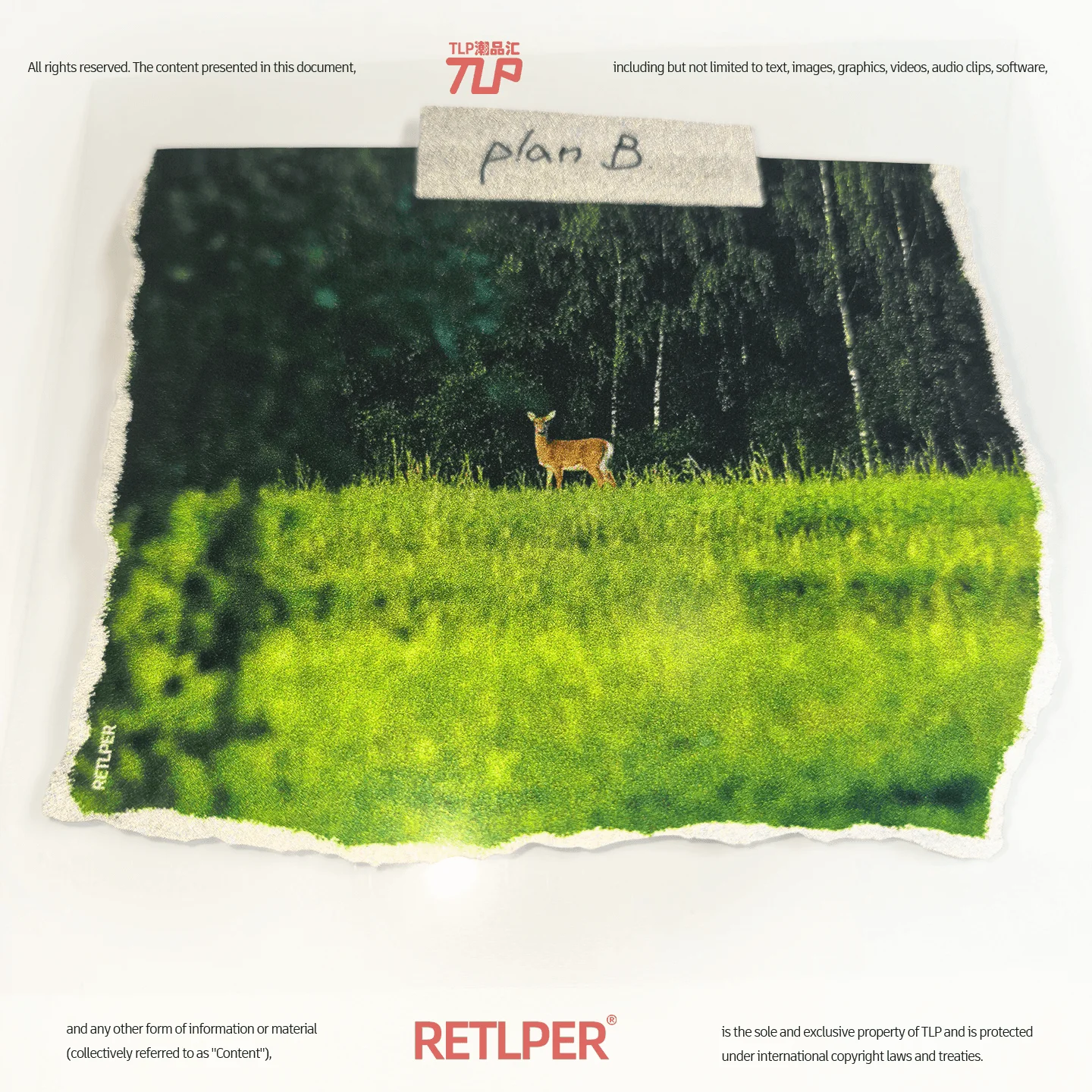Retlper Reflective Stickers Original Plan B Natural Random Tear-Off Effect Waterproof Decorative Stickers