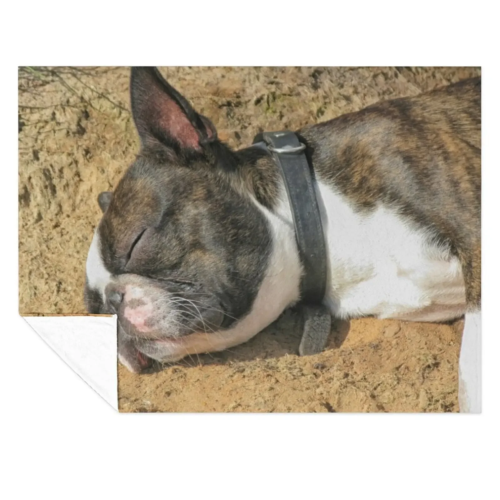 

Boston Terrier sleeping Throw Blanket wednesday Blankets For Baby Decorative Beds Winter beds Blankets
