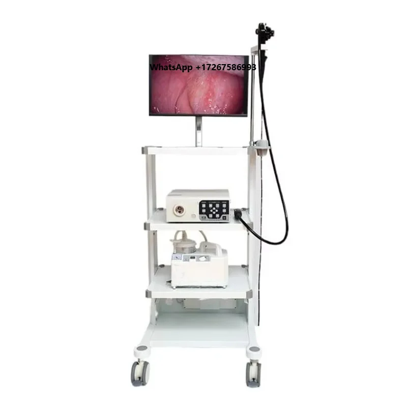 Portable Veterinary Multifunctional Endoscopy Trolley for Dog Gastroscopy Instrument Diagnosis Safe Surgical Equipment