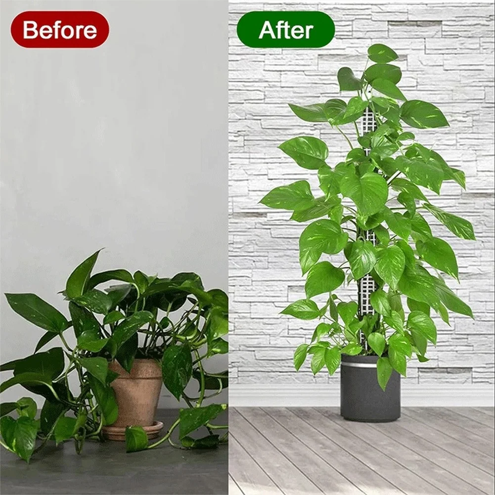 Plastic Moss Poles for Vertical Plant Growth Support with Perforated Fixed Ties and Plant Labels for Monstera Pothos