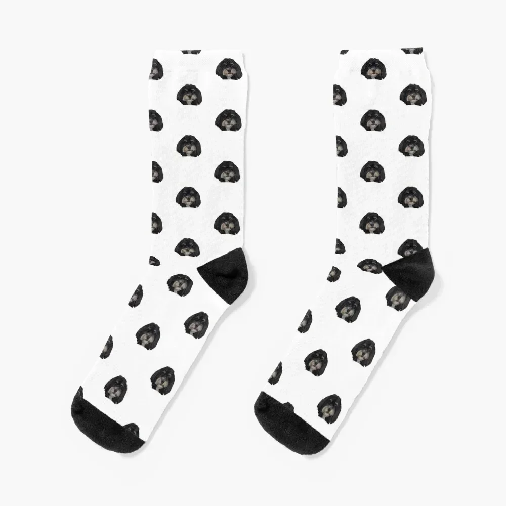 Havanese poodle design Socks compression bright garter Boy Socks Women's