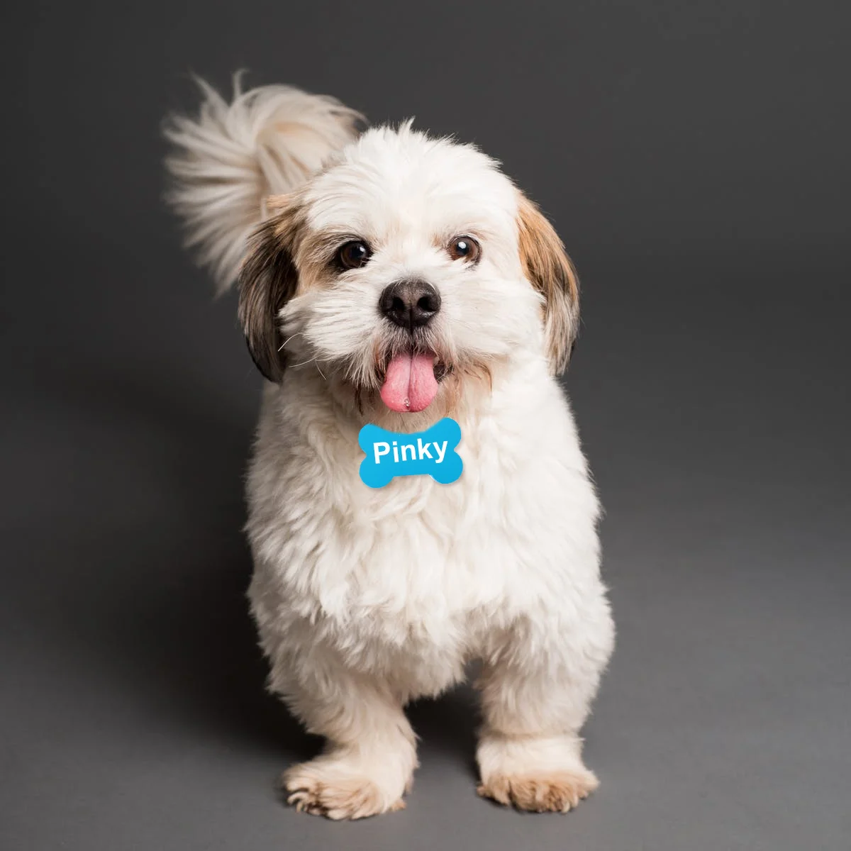 

10Pcs Pet Id Tag Bone Shape 38mm Durable Aluminum Dog Phone Number Engraving Id Tag Pet Tags Dog Tags