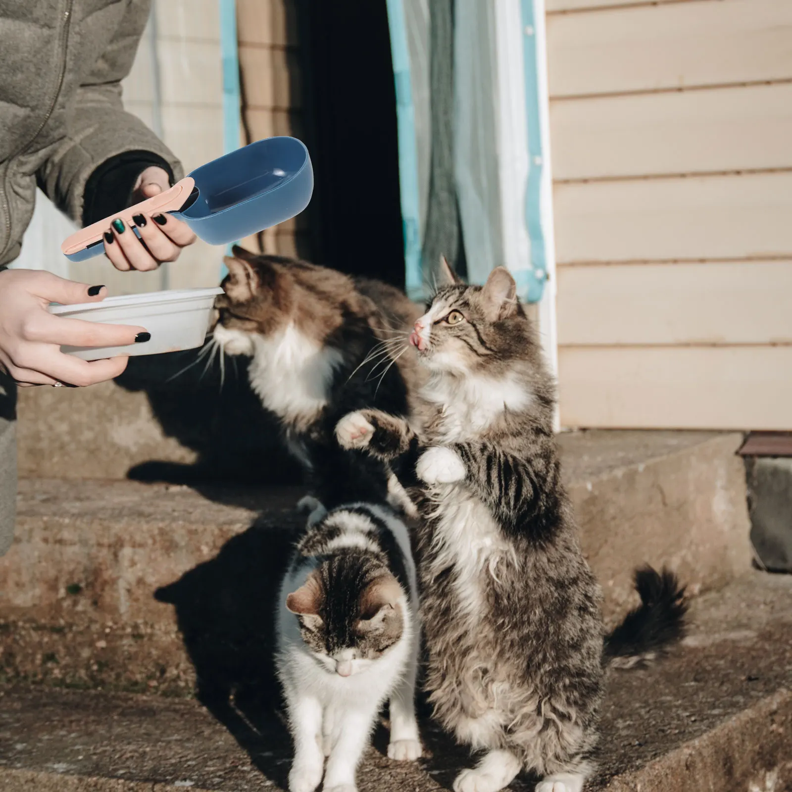 الحيوانات الأليفة الغذاء ملعقة البلاستيك القط الكلب تغذية مغرفة قابلة لإعادة الاستخدام أداة قياس صغيرة دائم مقبض نونسليب تصميم الرطب الجاف الغذاء مستلزمات الحيوانات الأليفة