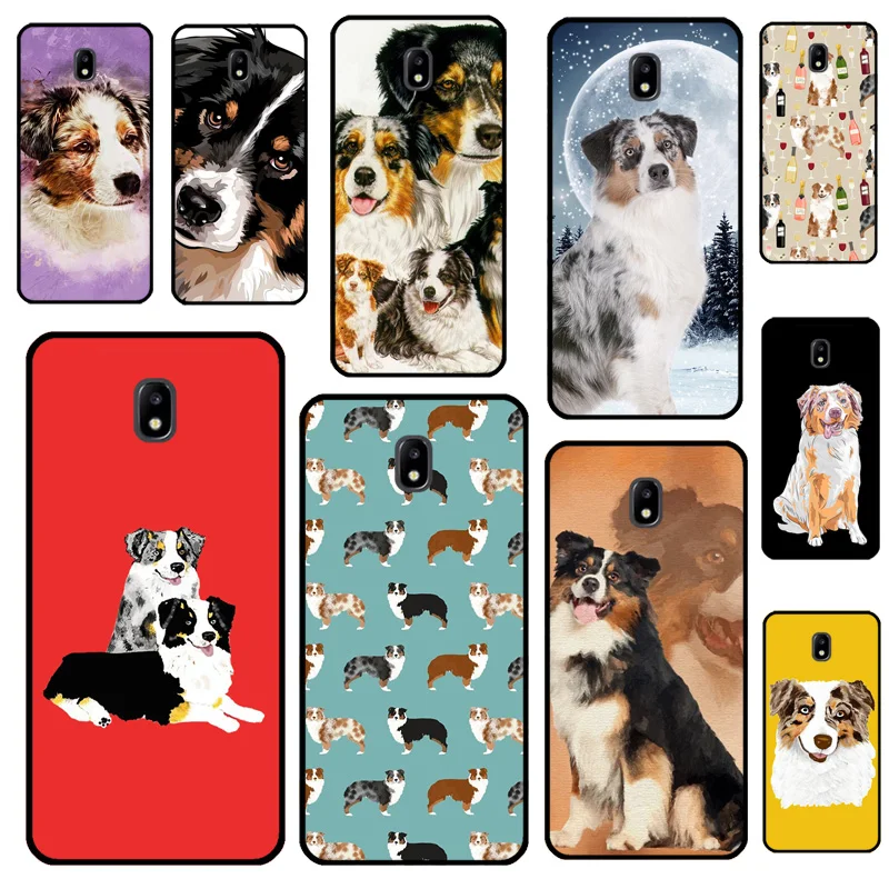 Australian Shepherd…