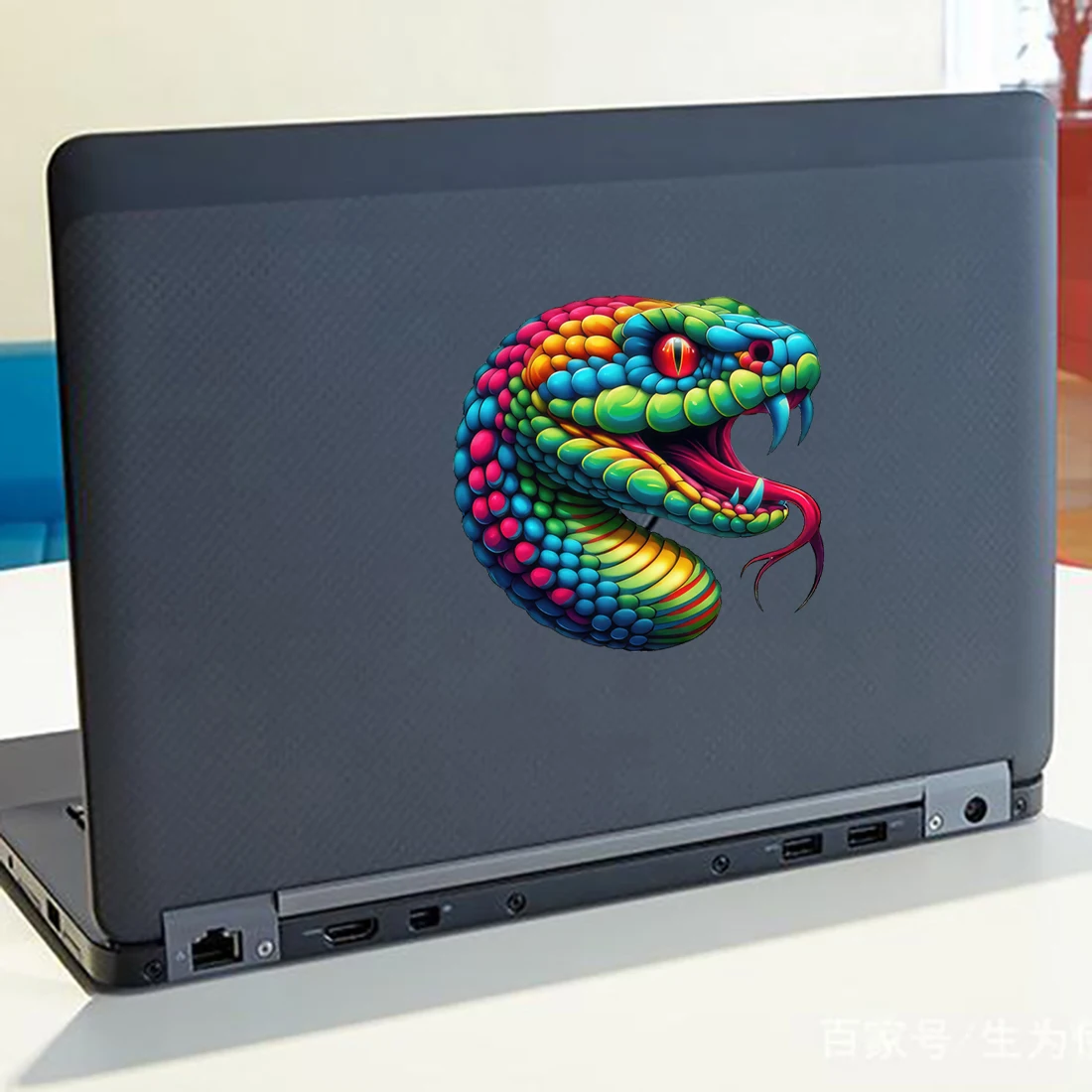 Three Ratels CF33 Colorful python art cartoon stickers for home decoration personalized computer stickers car  decals