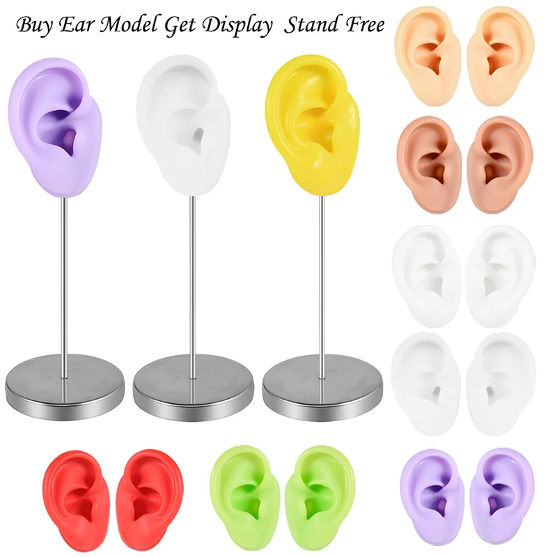 Soft Silicone Ear Model For Hearing Aid Human Ear Ear Model Simulation Display Props Teaching Tools Jewelry Display Earrings