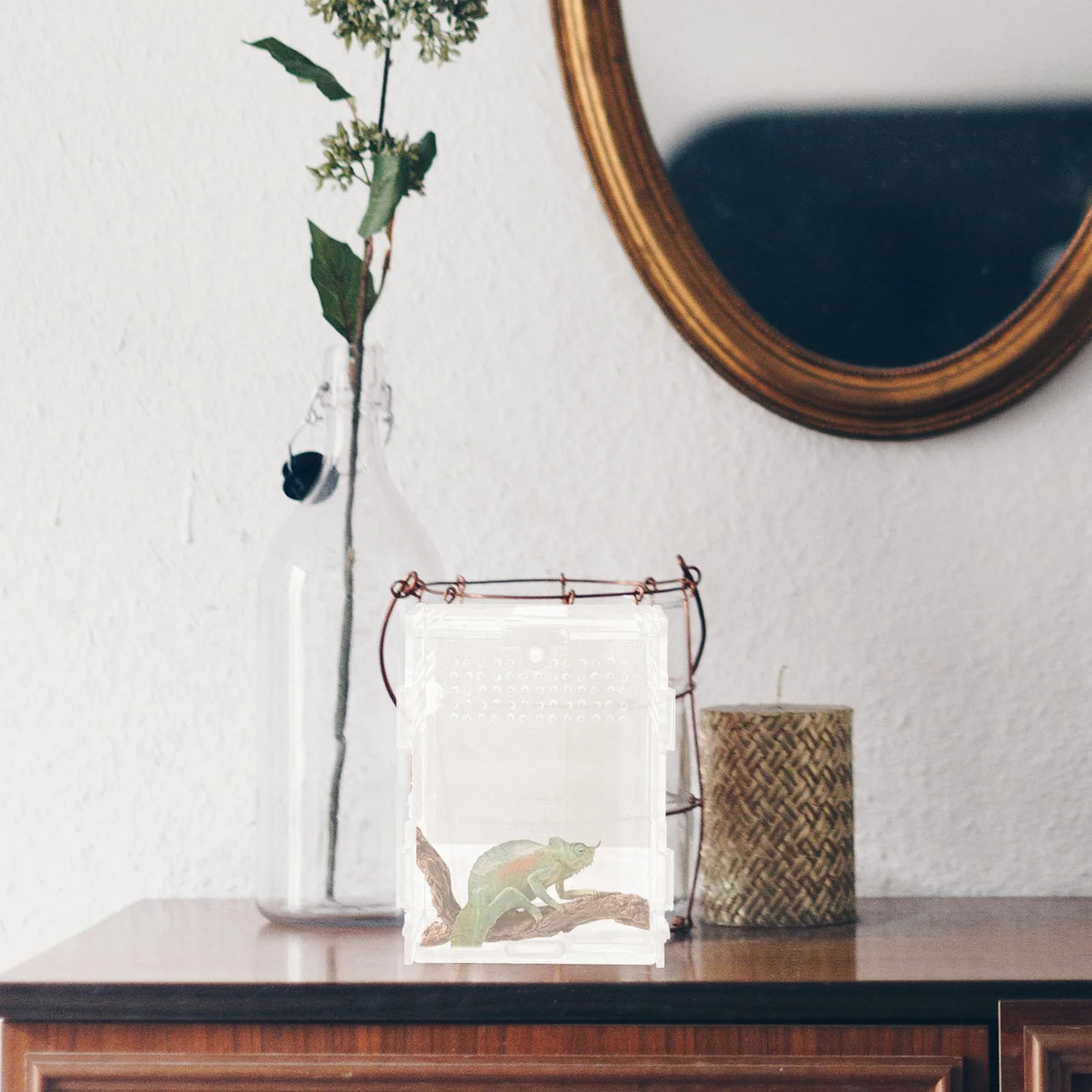 

Acrylic Feeding Box Clear Reptile Habitat Ventilation Holes Durable Transparent Material for Spiders Geckos Snakes