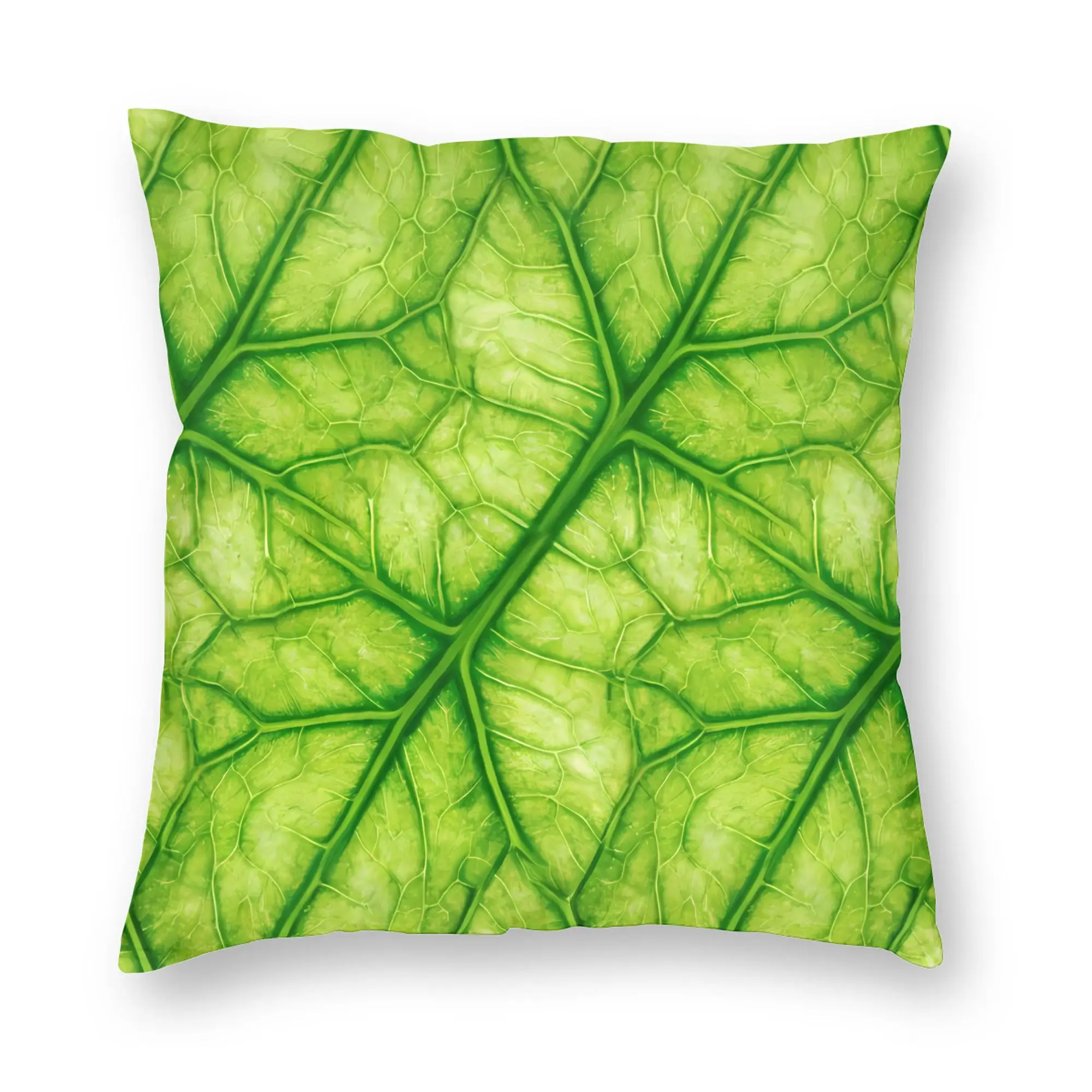 Cabbage Pattern Pillow Cover  Morden Pillow Case For Office Car Home Decor Comfy Cushion Cover Gift