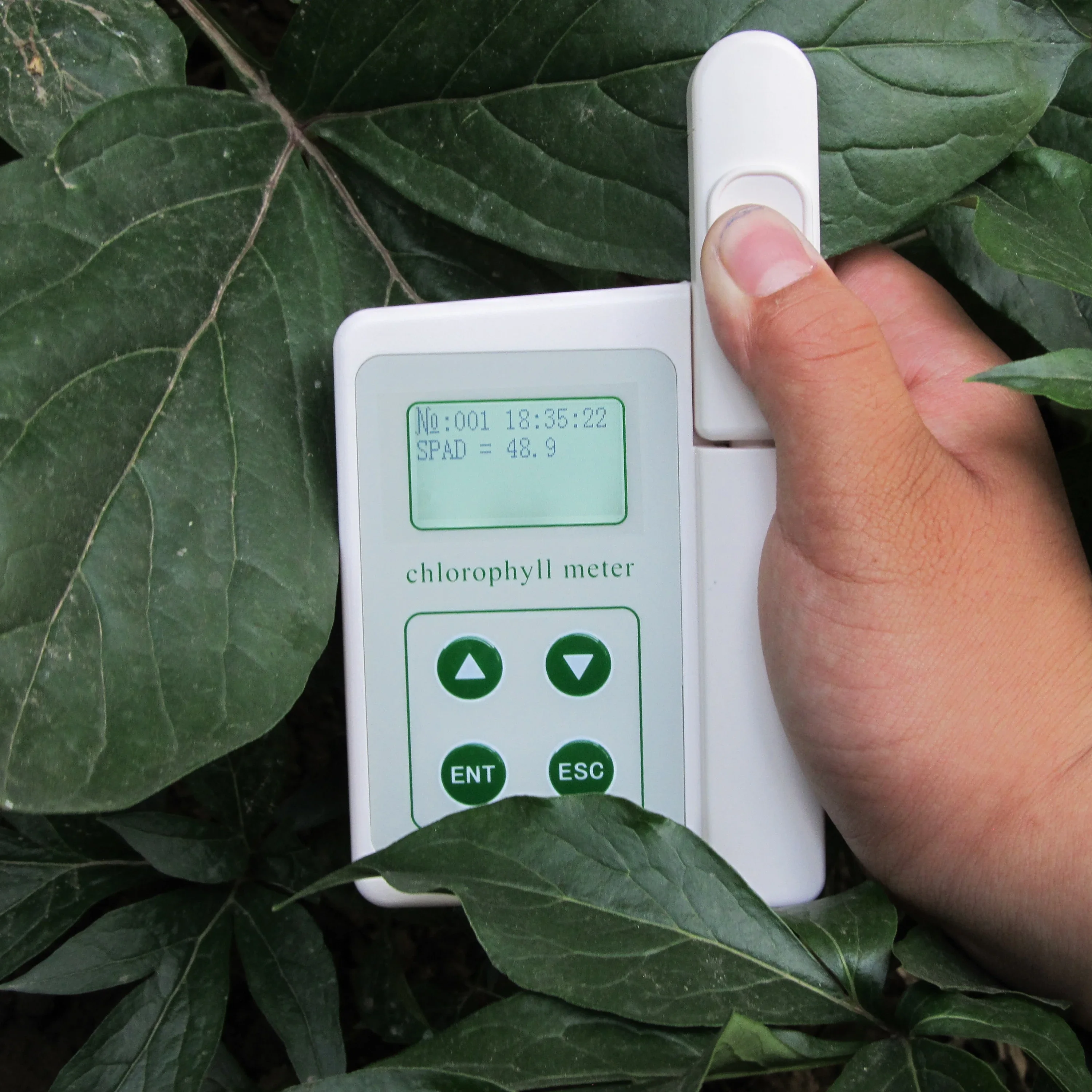 

YLS-A Chlorophyll meter