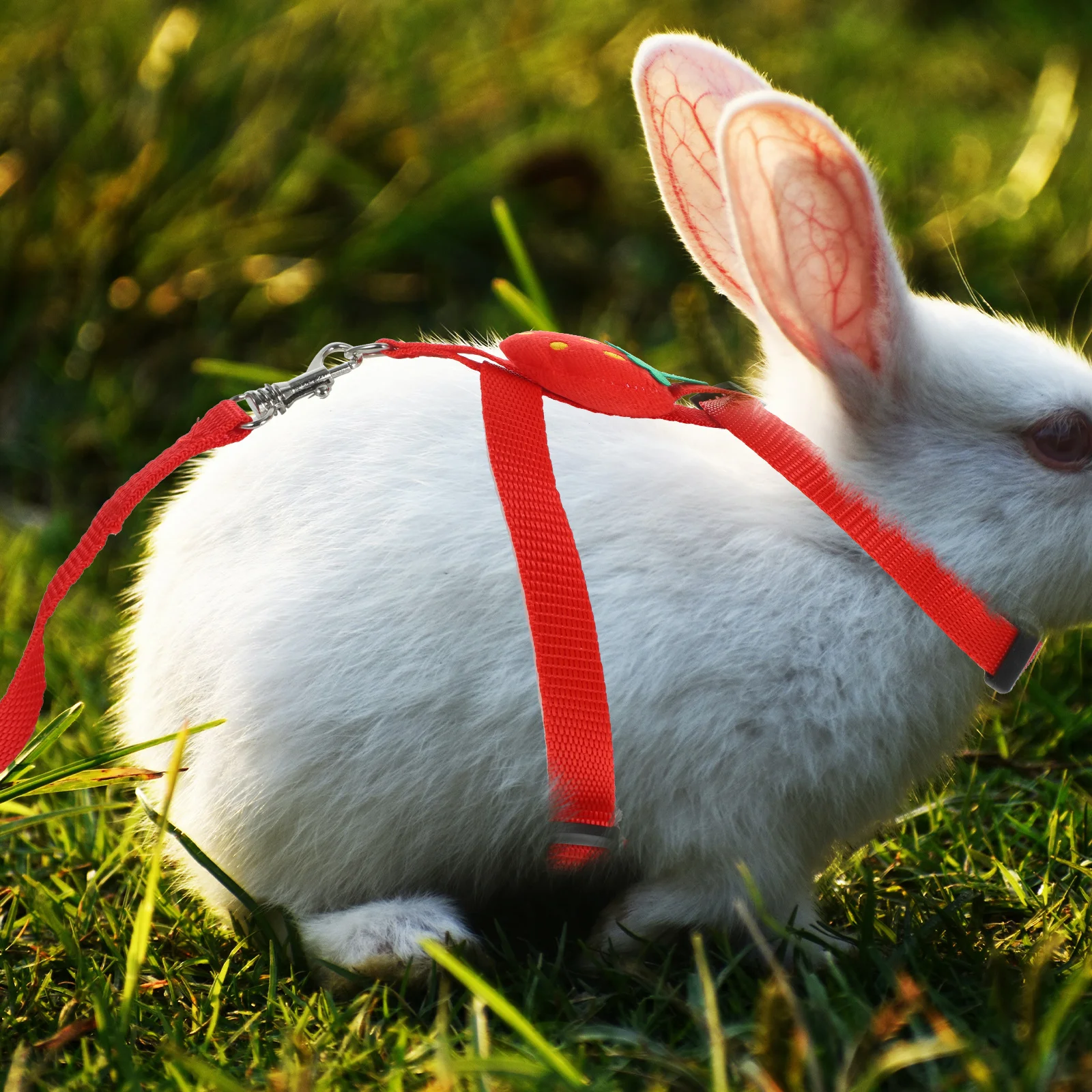 

2 Sets Harness Bunny Belt Adorable Rabbit Gear Traction Rope Kit Accessories Leash and Vest