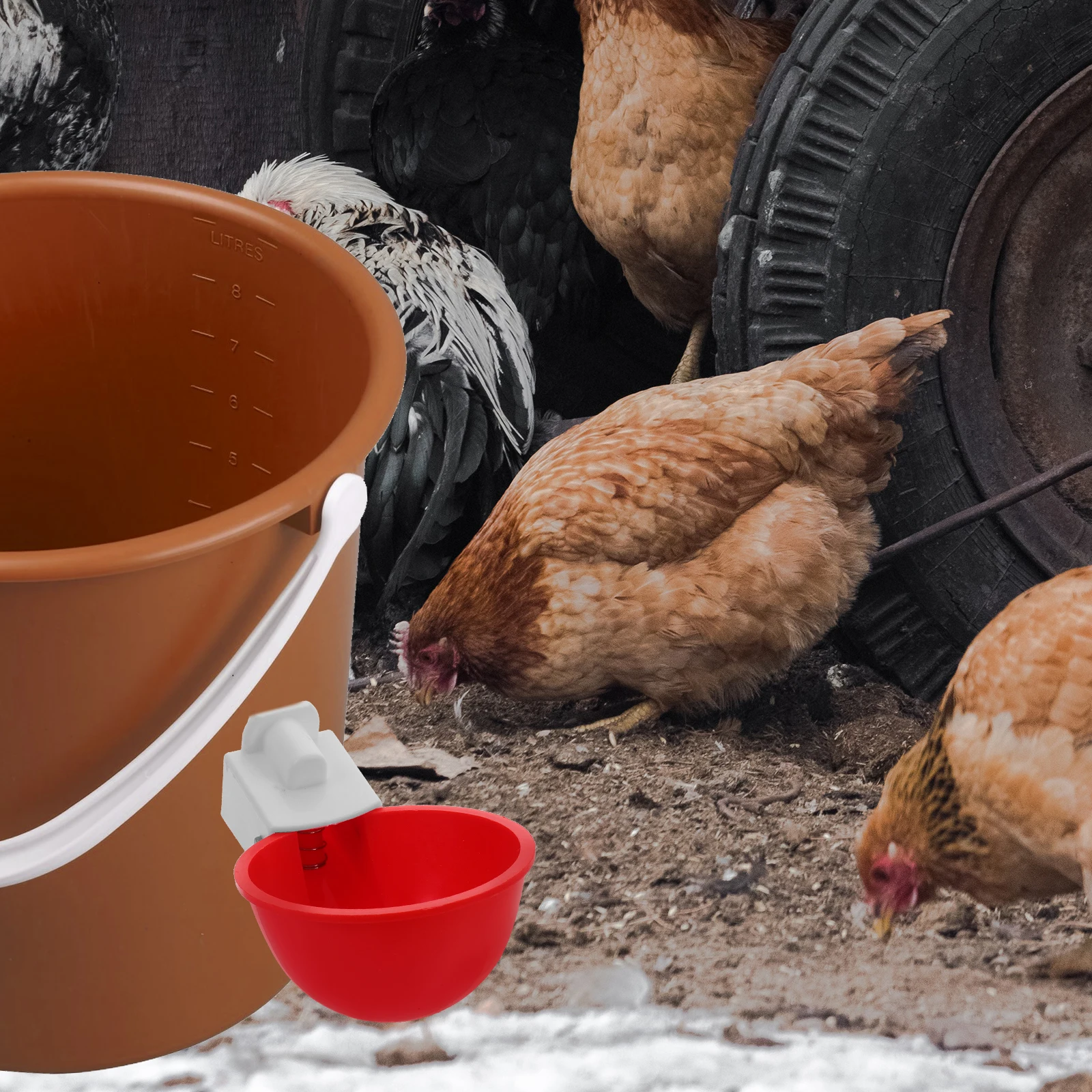 

1 Set Automatic Chicken Water Feeder Safe PP Poultry Watering Cup Removable Easy Clean Suitable for Chicks Ducks Pigeons Quail