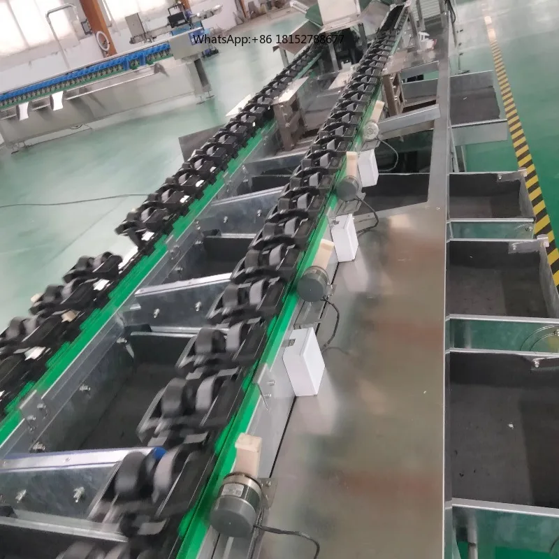 Customize Fruit Vegetable Grader  Sorting Machine Weight Sorting Machinery