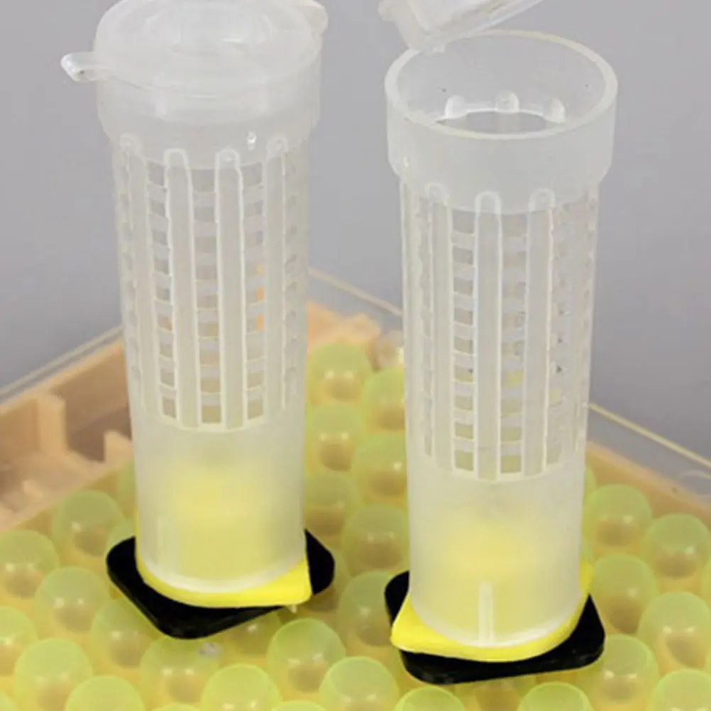 

24pcs Anti- Cover Incubation Bases Cages Beekeeping Tools Breeding Cage Rearing Cups Safe Material Apiculture