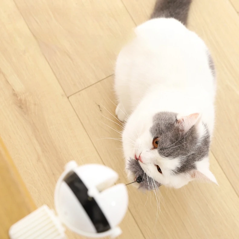 

Modern Interactive Electric Lifting Ball Cat Toy Automatic Teaser for Kittens Funny Plastic and Rubber Pet Toy for Kids