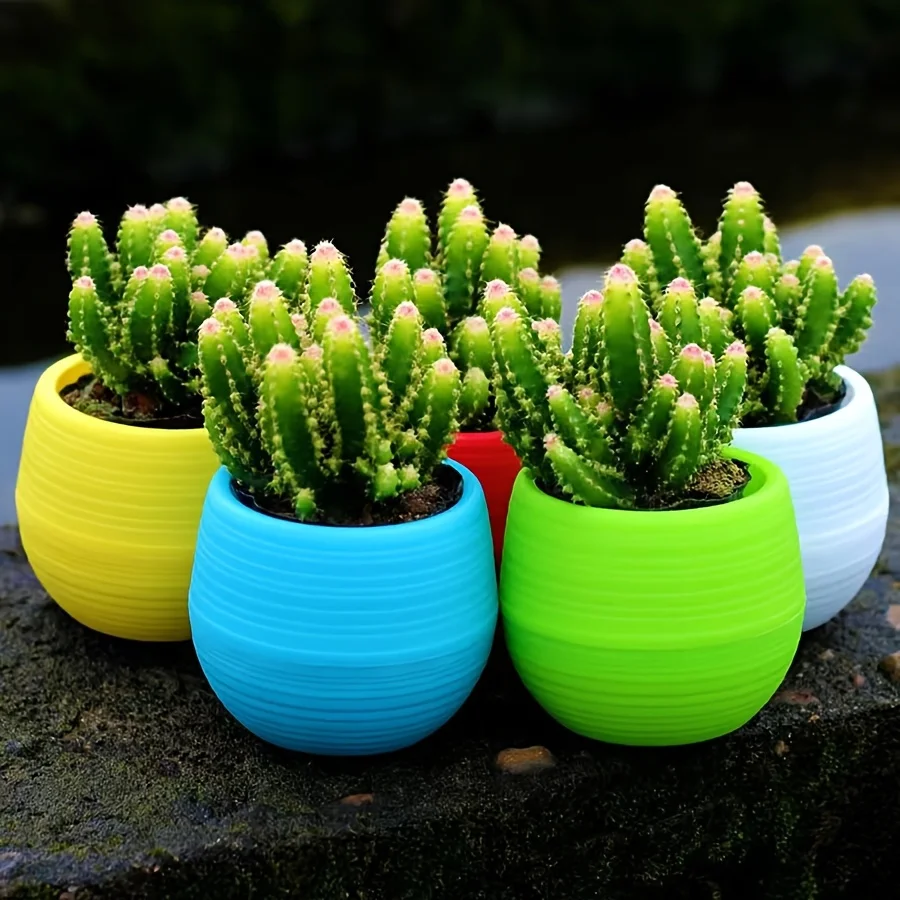 5Pcs/Set Colorful R… - image