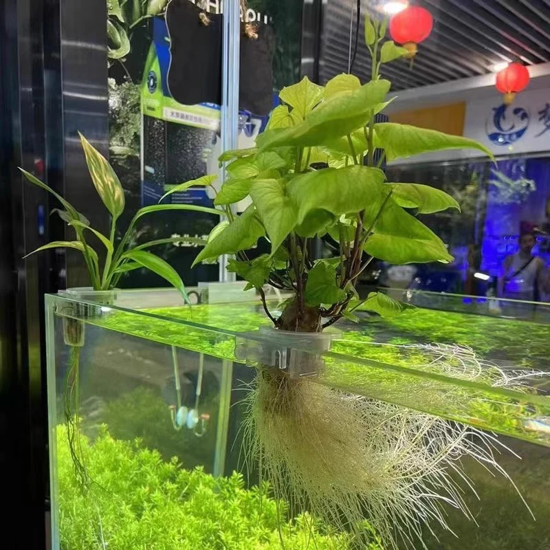 Aquarium Plant Holder Aquatic Plant Pot Hanging Aquatic Planter Fish Tank Plant Holder Aquarium Plant Pot Aquarium Accessories