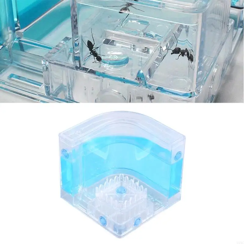 U6XC Farm Insect Test Tube Moisture Big Space Nest Ants Villa House Ants Ecological Workshop Plastic Materiaal voor mier