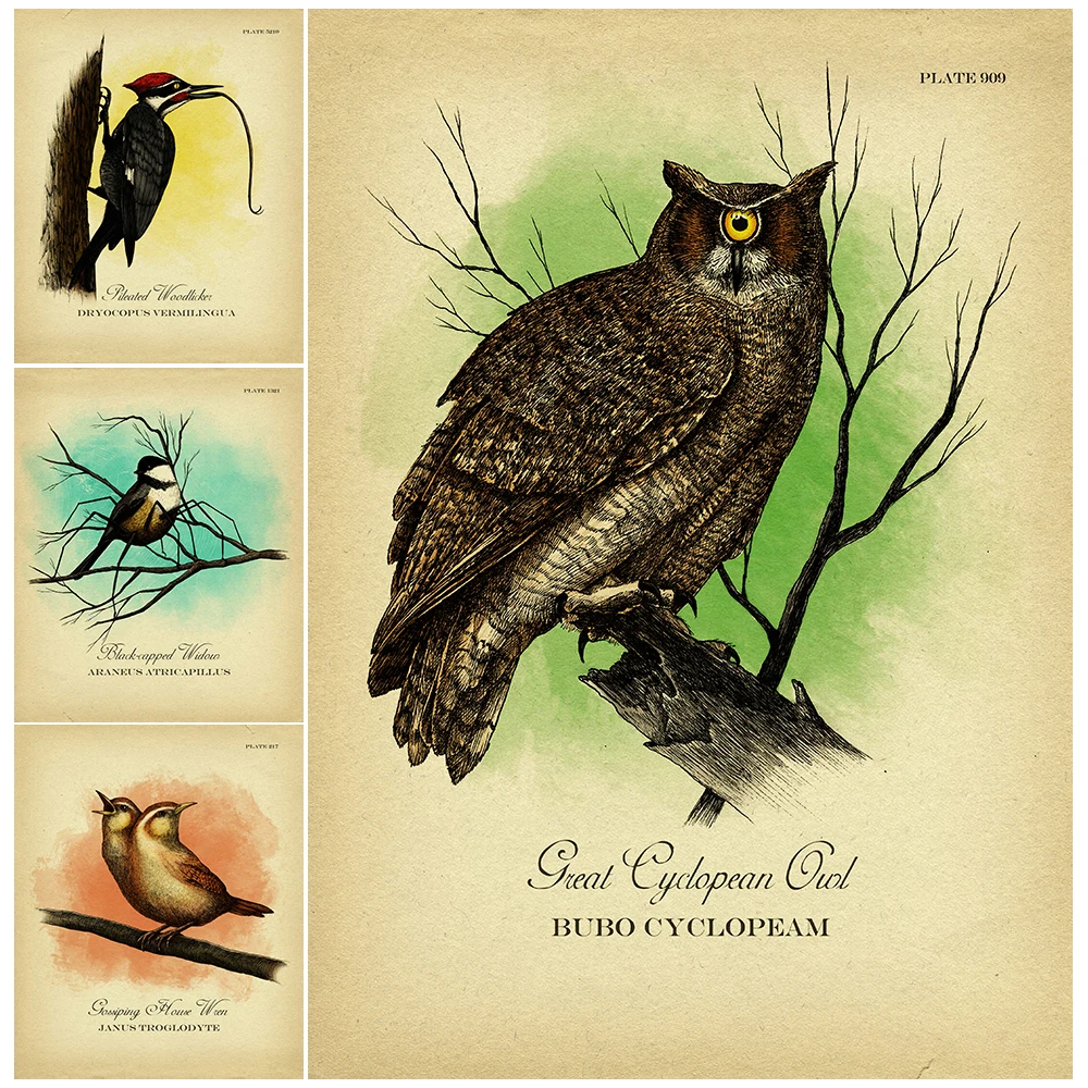 

Spider Chickadee And Great Cyclopean Owl Vintage Wall Art Canvas Painting Fantasy Bird Magic Creatures Art Poster Print Decor