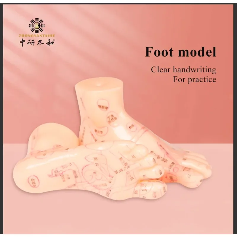 

ZHONGYAN TAIHE Pair of Human Feet Acupoint Model for Reflexology & Acupuncture Teaching Aids Lab School Supplies A Pair