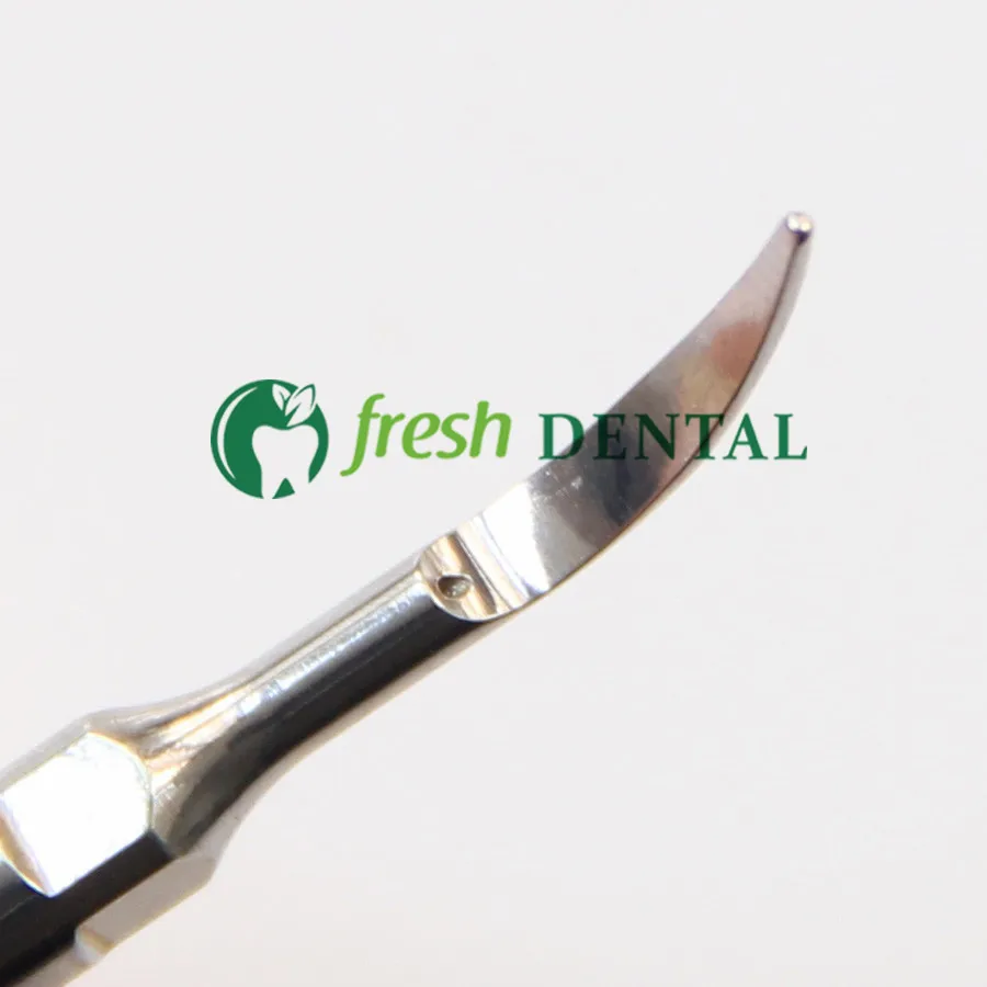 

5PCS Dental Ultrasonic Scaler Tips GS1 Brand NEW DENTAL Supragingival scaling tip GS1 fit Sirona Scaler Best SALE A++++