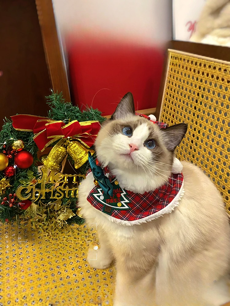 Pet Christmas New Year Cat Shawl Dog Clothes Autumn and Winter Scarf Cloak