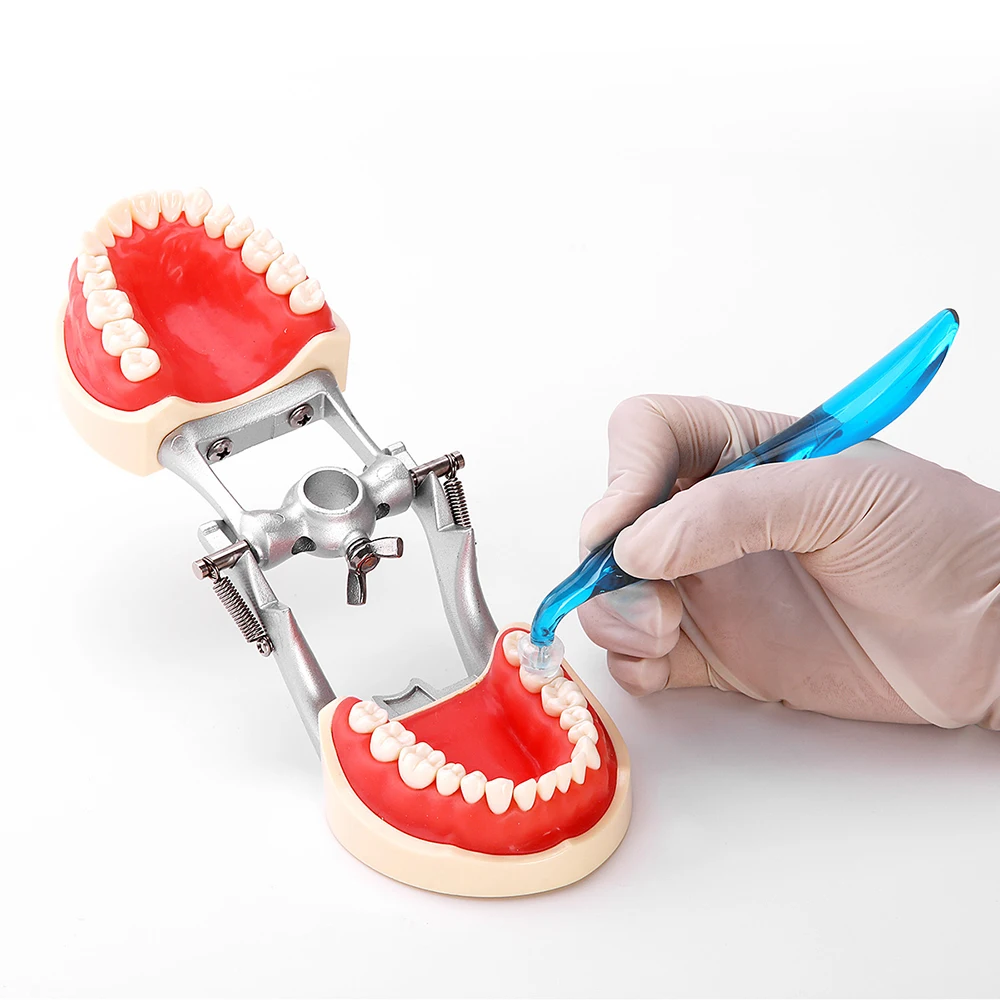PIORPOY Dental Posterior Teeth Aesthetic Printing Kit 16 Molds Oral Care Orthodontic Filling Restoration Dentist Supplies Tool