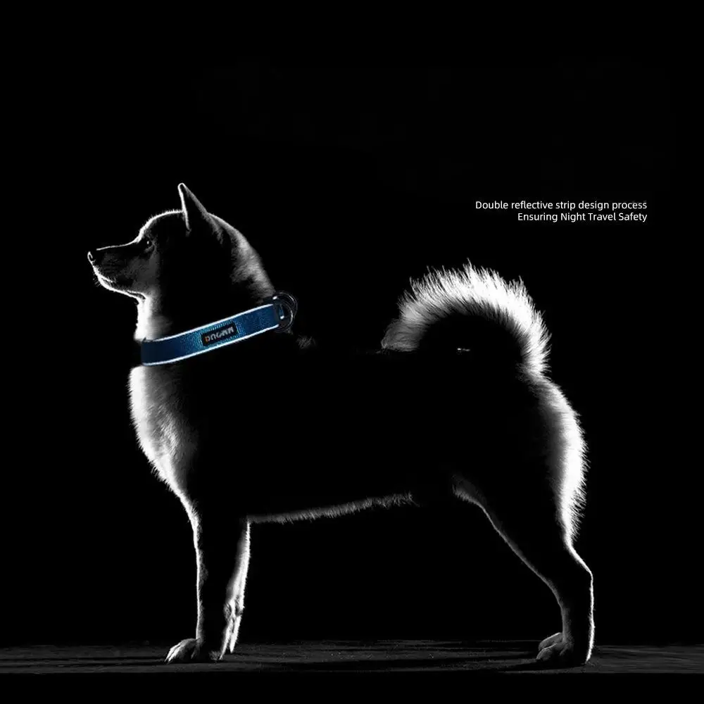طوق سفر آمن للكلاب الأليفة مضاد للخسارة وياقة عاكسة ليلية قابلة للتعديل مناسبة للكلاب أو القطط الصغيرة والمتوسطة الحجم