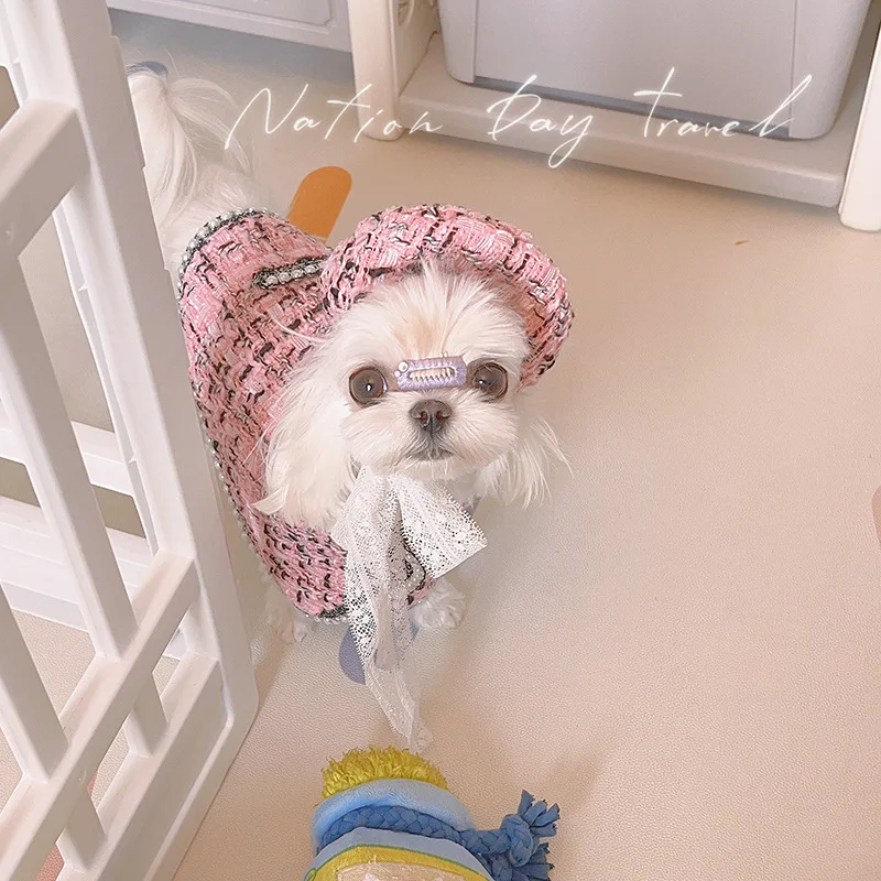 New Winter Pet Cloak Cute Dog Shawl Hat Set Maltese Cat Dog Clothes Christmas Gift Luxury Design Dog Clothes Birthday Present