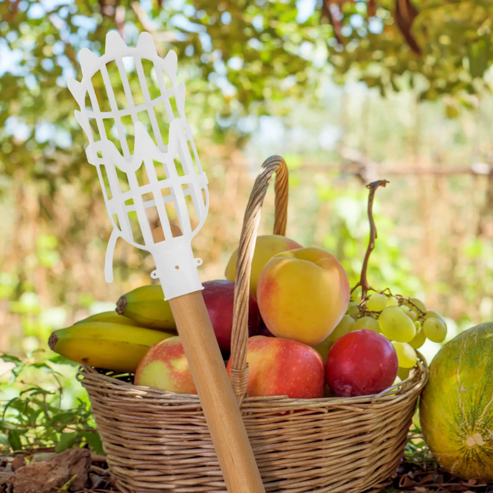 2 Piezas Cesta Recolectora de Frutas para Cosecha de Frutas Frescas Dulces, Herramienta de Jardín y Huerto, Dispositivo Seguro y Eficiente para Recoger Frutas