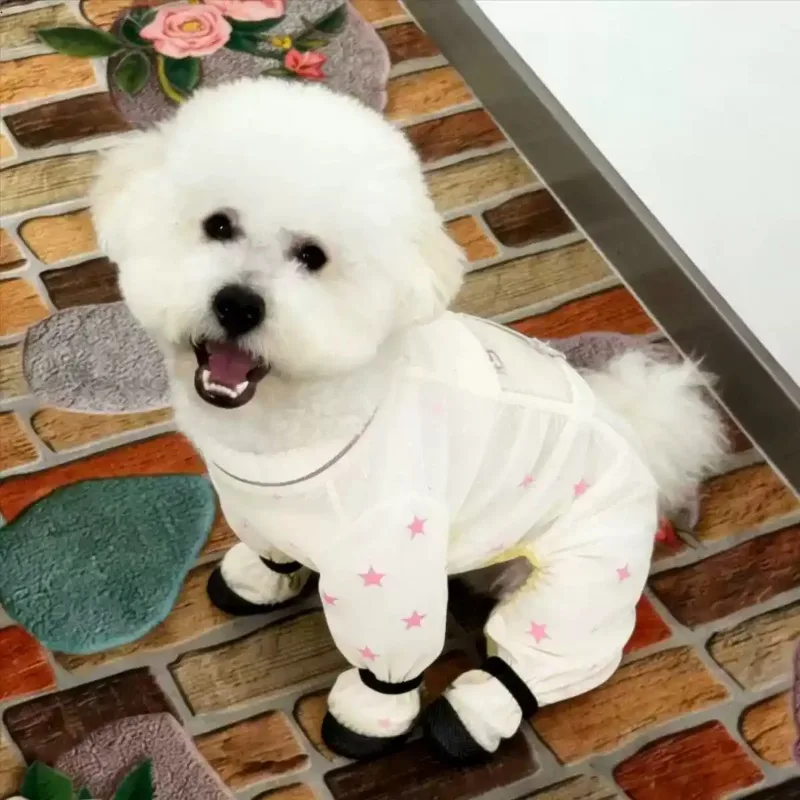 Dog Dust Pants for Spring and Autumn, Dirt and Insect Proof, Lightweight Four Legged Pants Legs, Spring and Autumn Clothes