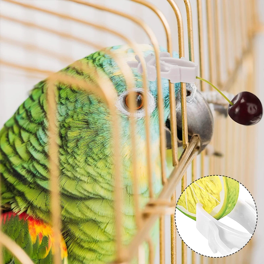 Food Holder para Pet Birds, Papagaio Alimentação, Fruta, Vegtable Clip, Chocos Osso Alimentador Dispositivo, Bird Cage Acessórios, Pin Clamp, 12pcs