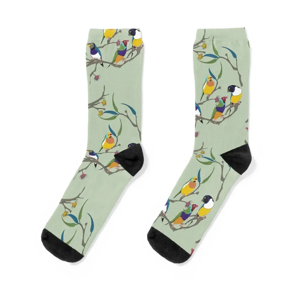 

Australian Gouldian (Rainbow) Finches Socks sheer gifts christmass gift new year Man Socks Women's