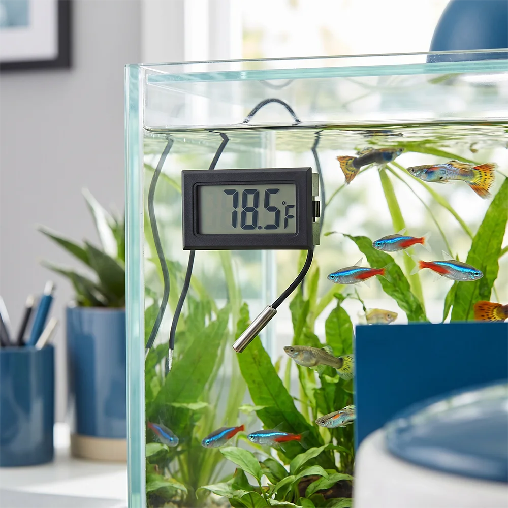 1-10 Stück FY-10 Mini Digital-Thermometer für Aquarium, Auto, Wasserbad, Temperatur-Tester, Detektor, Monitor mit Eingebautem Temperatursensor
