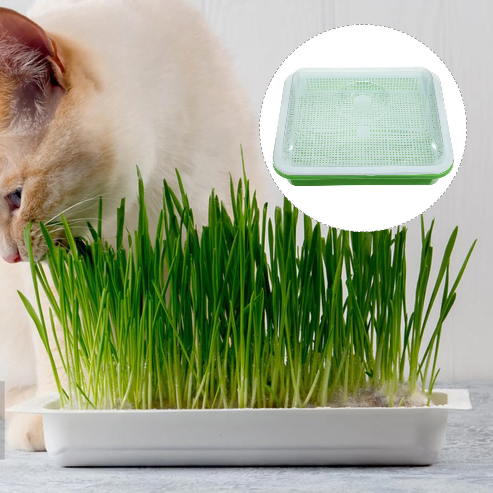 

Универсальный гидропонный лоток для выращивания с крышкой для сохранения тепла, подходит для проращивания салатов, суповых ингредиентов, для домашнего фермерского хозяйства