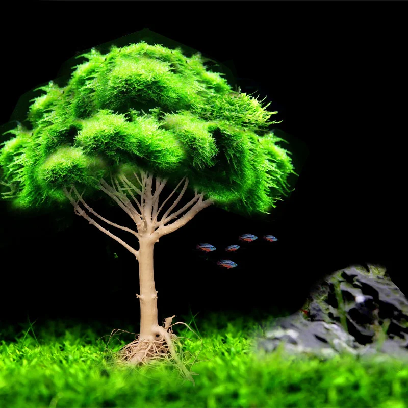 Driftwood Moss Tree Plants for Natural Driftwood Branches Aquarium Wood Aquarium Decoration Fish Tank Landscaping Decorations