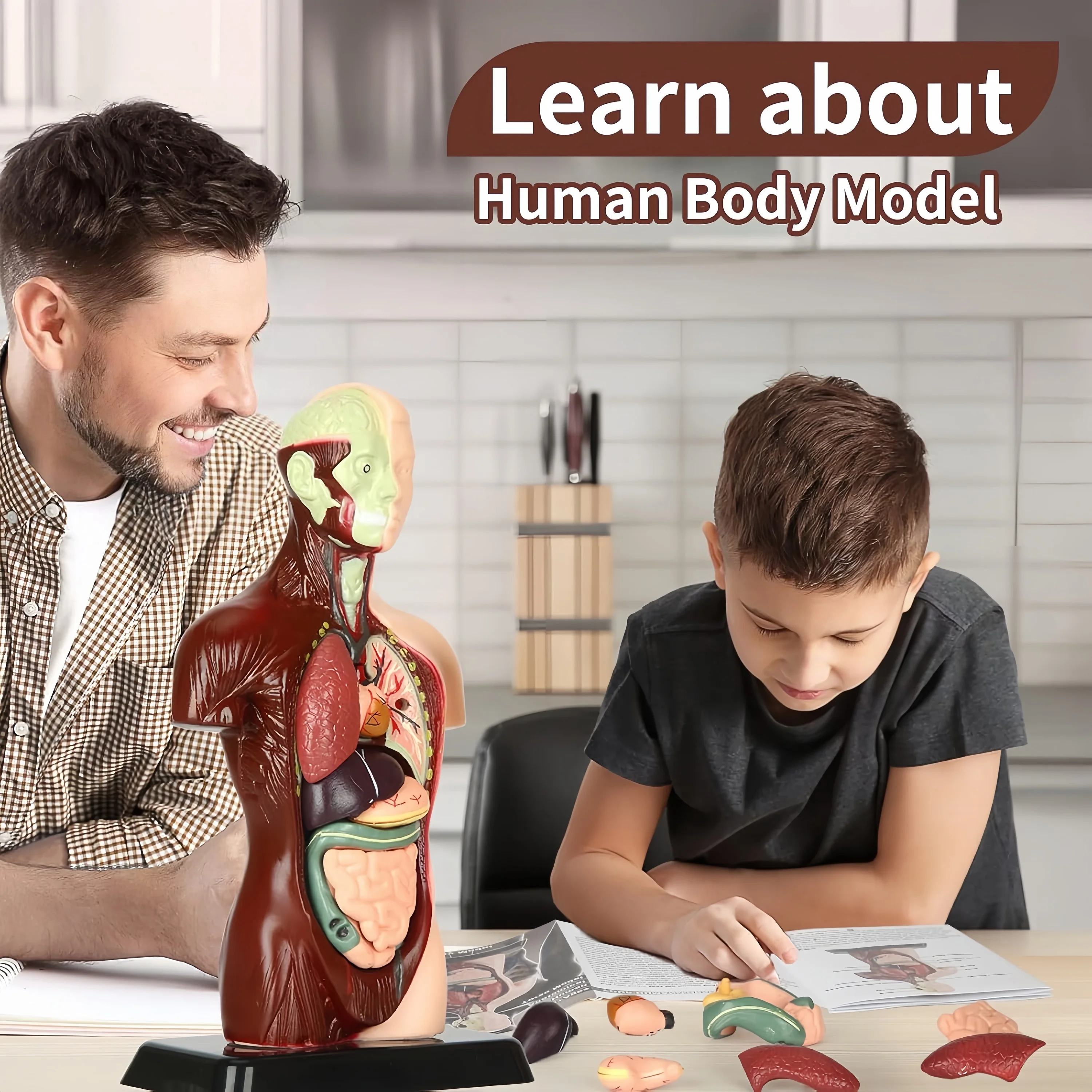 Menselijk lichaam kinderen onderwijs, DIY Mannequin 3D Menselijk Lichaam Model, Biologie Educatief Speelgoed voor kinderen, een stuk, Cadeau, Kerstmis