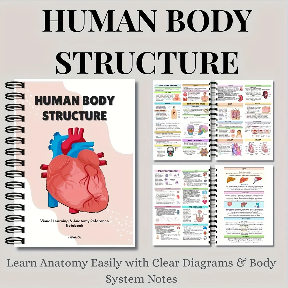 NotebooK:Human Body Structure Diagram Biology Education Organs Brain Liver Heart Anatomy Notebook Reading Study