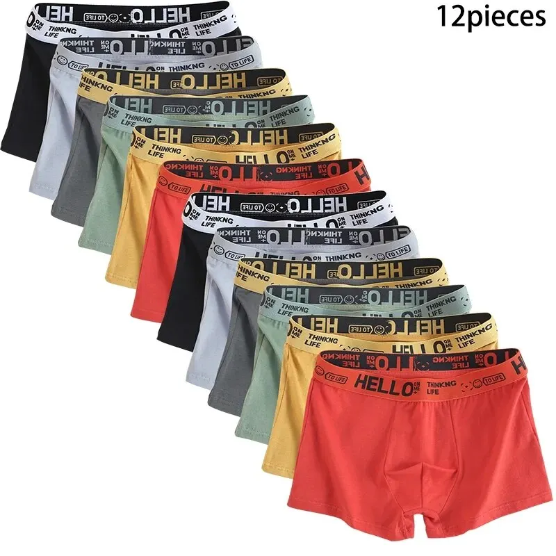 Sous-vêtements en coton grande taille pour hommes, culottes pour hommes purs, shorts respirants, boxers confortables et doux, 12 pièces