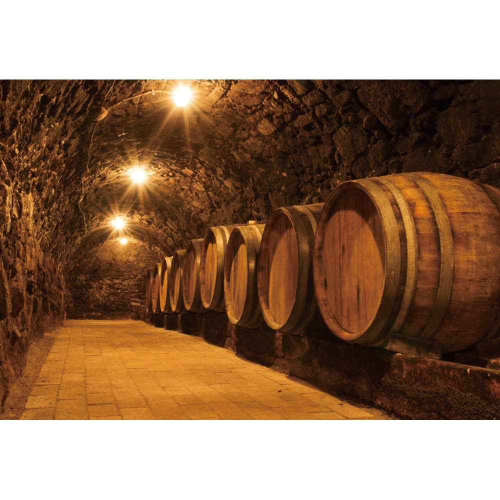 Wine Cellar Backdrop Barrel Vintage Cask Wooden Board Storage Celebration Party Background Adults Photo Protrais Artistic Studio