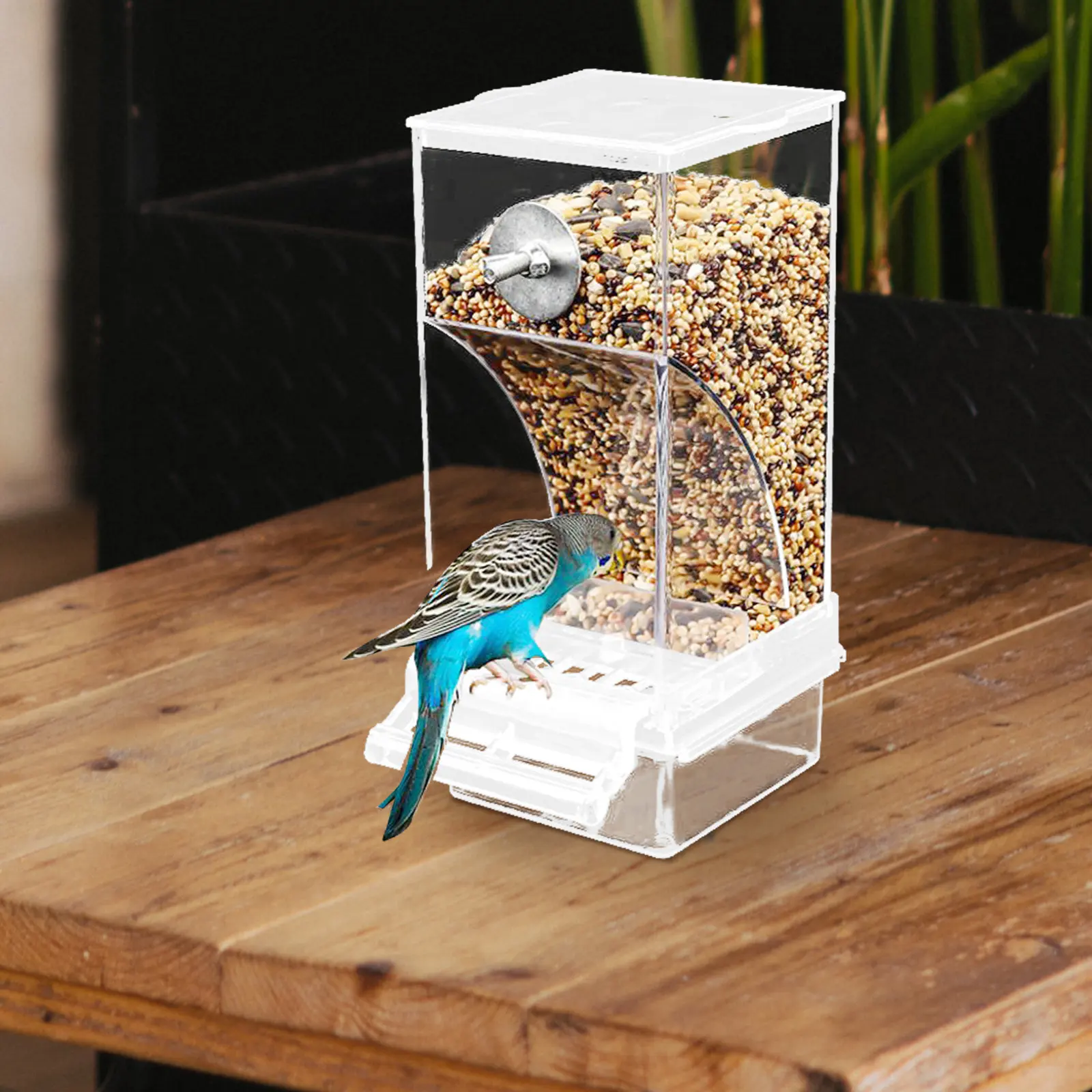Clear Automatic Bird Food Feeder for Small Birds Acrylic Foraging Feeder Mountable on Cage Exterior Easy Refill Lid Pet Bird