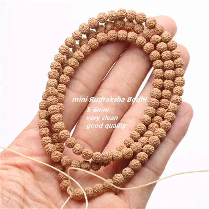 10Strands Real Natural Rudraksha Bodhi Beads 4mm 5mm 6mm 7mm 8mm TSB0530
