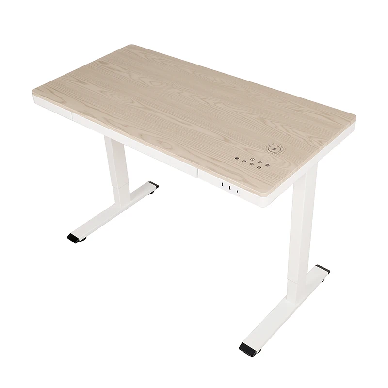 Dual Motor Standing Desk, Electric Height Adjustable Desk, Ergonomic Wood Home Furniture Stand Desk with Drawer, Easy Assembly