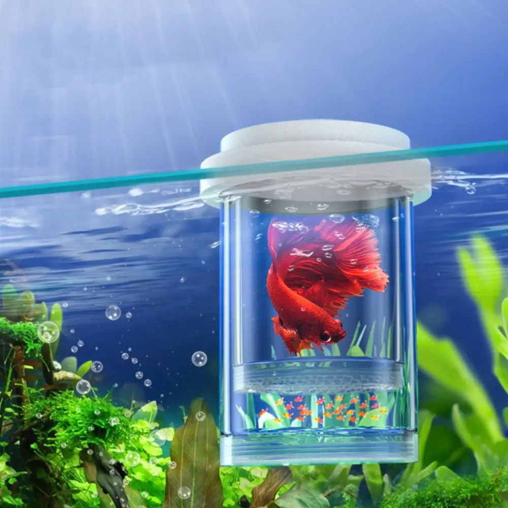 Fine/Coarse Mesh Floating Hatching Box Plastic Fish Tank Hatching Incubator Aquarium Breeder Feeder White Guppy Breeding Box