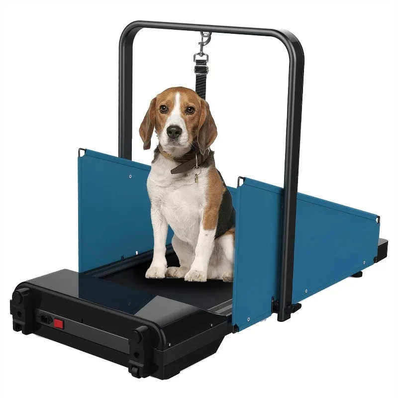 2026 Dog Exercise Machine Gym Equipment Indoor Pet Running Products Sustainable Agility Set
